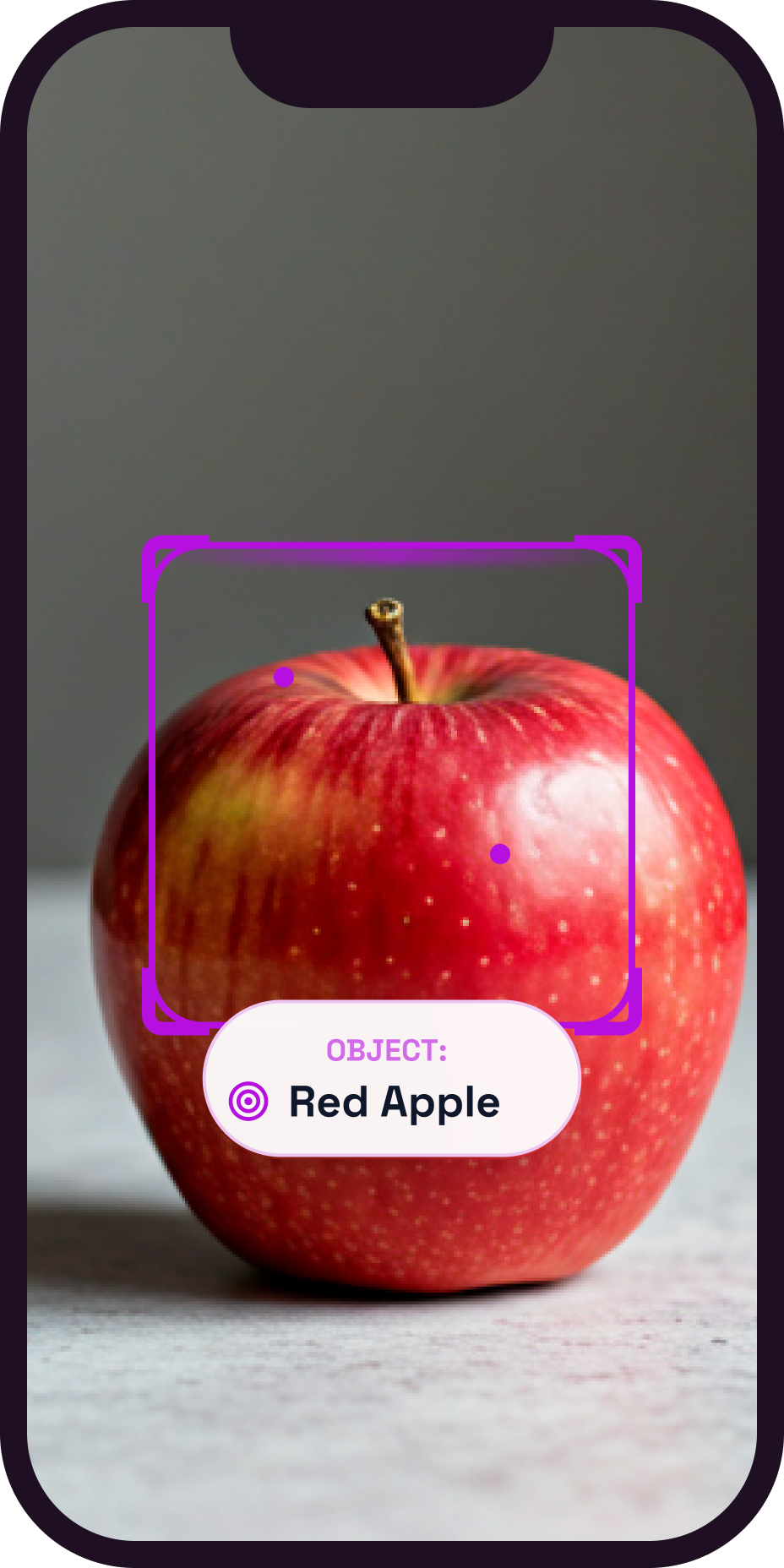 App onboarding screen showing apple object recognition