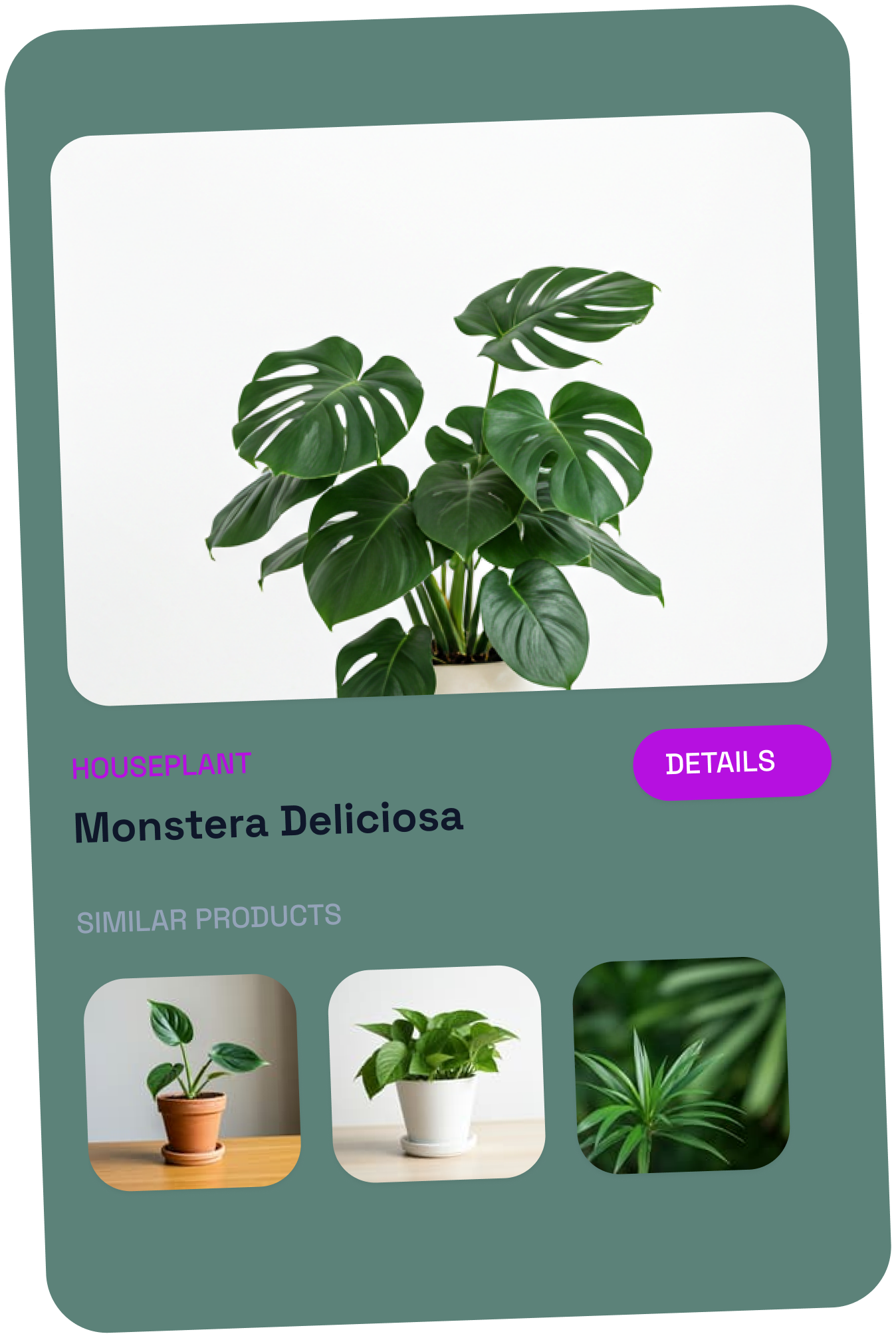 App onboarding screen showing detailed scan results